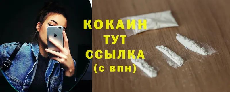 Cocaine FishScale  закладка  мега онион  Заозёрск 